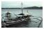 Hamnen i Iloilo, vår båt från