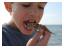 Agersö<br>På stranden, Emil käkar krabba