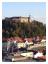 Ljubljanas slott, det har funn